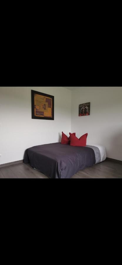Chez Manu Appartement Voellerdingen Buitenkant foto