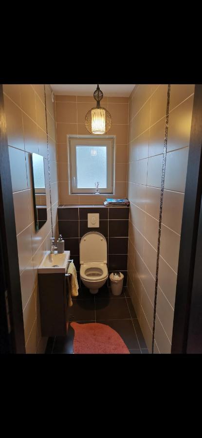 Chez Manu Appartement Voellerdingen Buitenkant foto