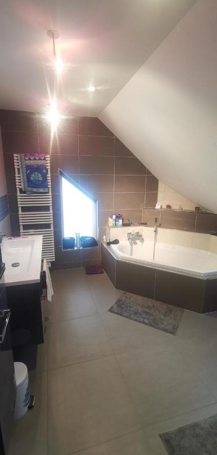 Chez Manu Appartement Voellerdingen Buitenkant foto